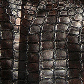 crocometalize-square